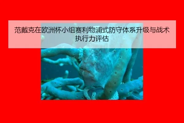 fan-dai-ke-zai-ou-zhou-bei-xiao-zu-sai-li-wu-pu-shi-fang-shou-ti-xi-sheng-ji-yu-zhan-shu-zhi-xing-li-ping-gu-2-678.jpg